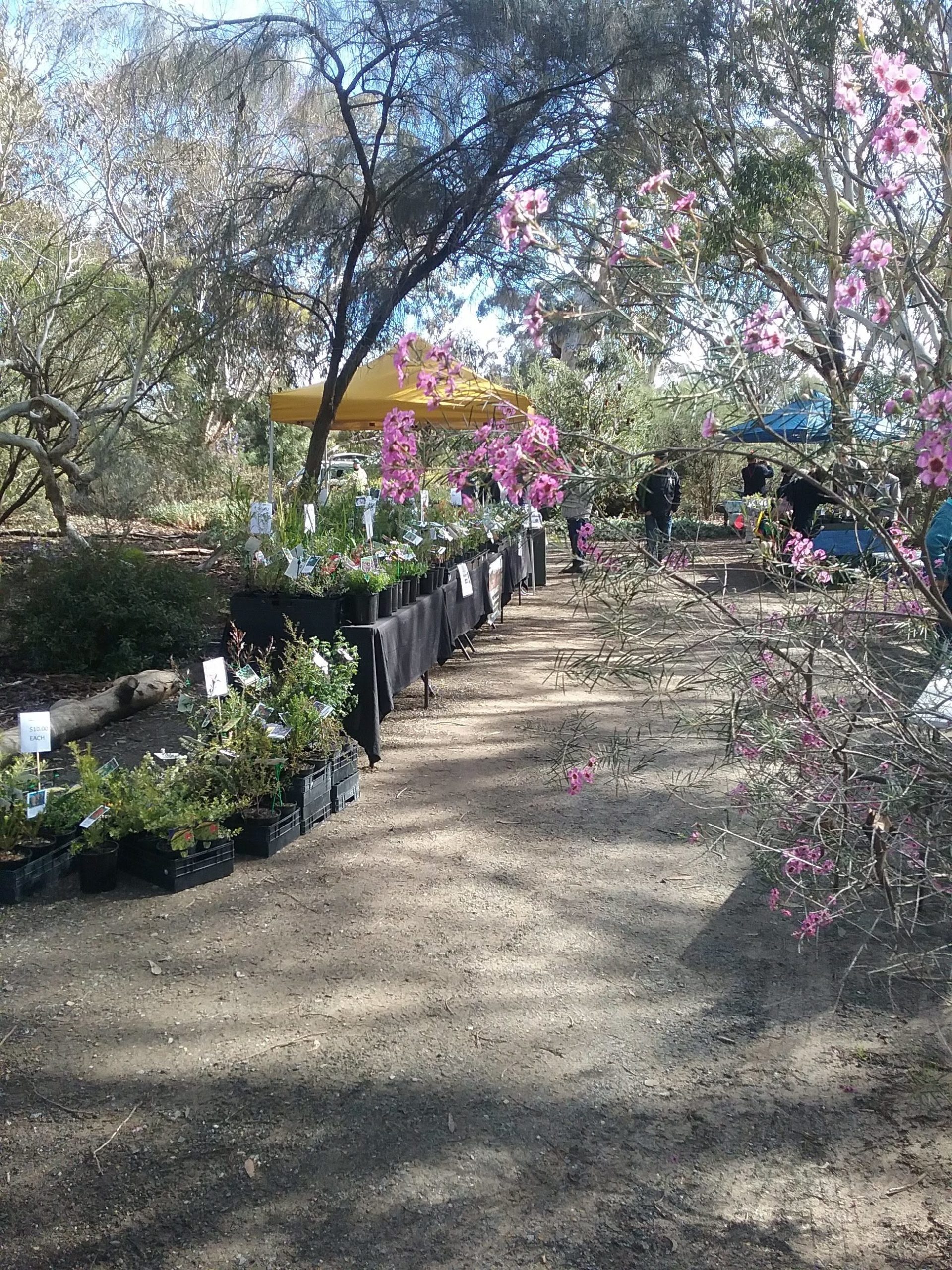 Spring Plant Sale & Open Day at Nangawooka Flora Reserve