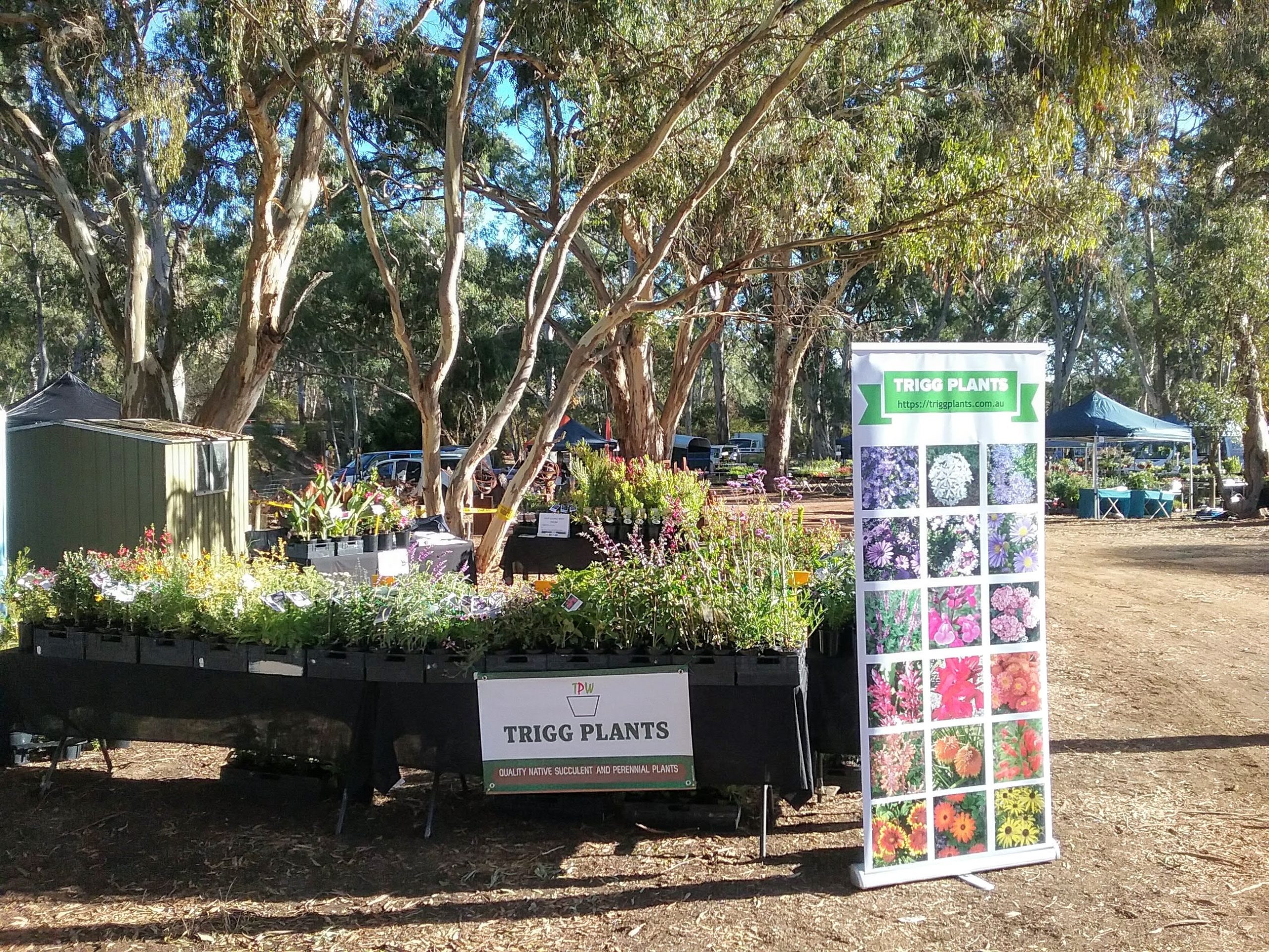 Trigg Plants stall at the SA Autumn Garden Festival