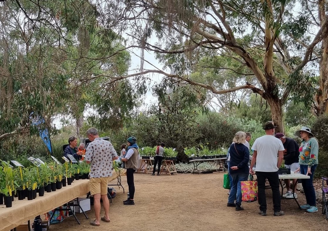 Spring Plant Sale & Open Day at Nangawooka Flora Reserve 14/9/25