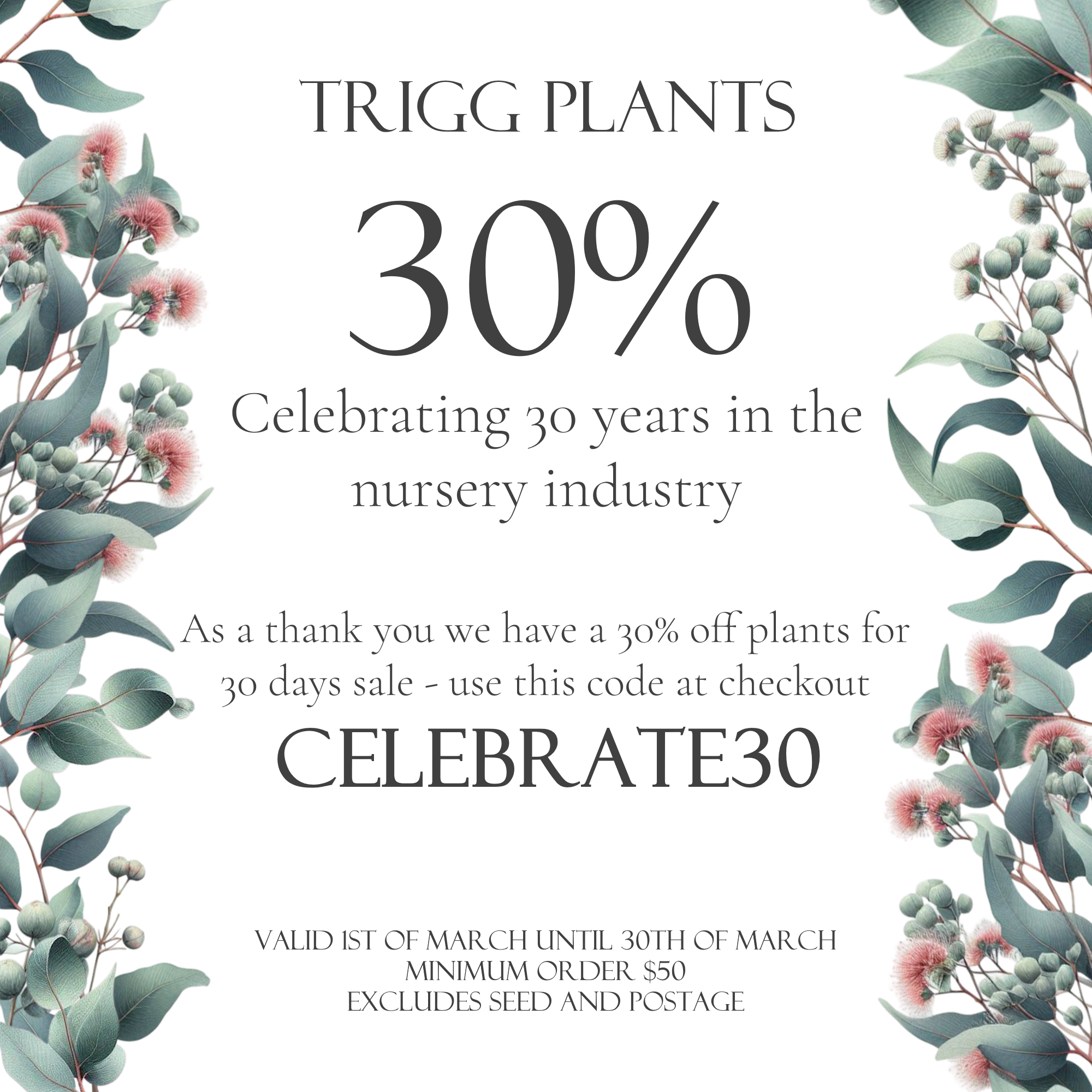 Trigg Plants celebrates 30 years