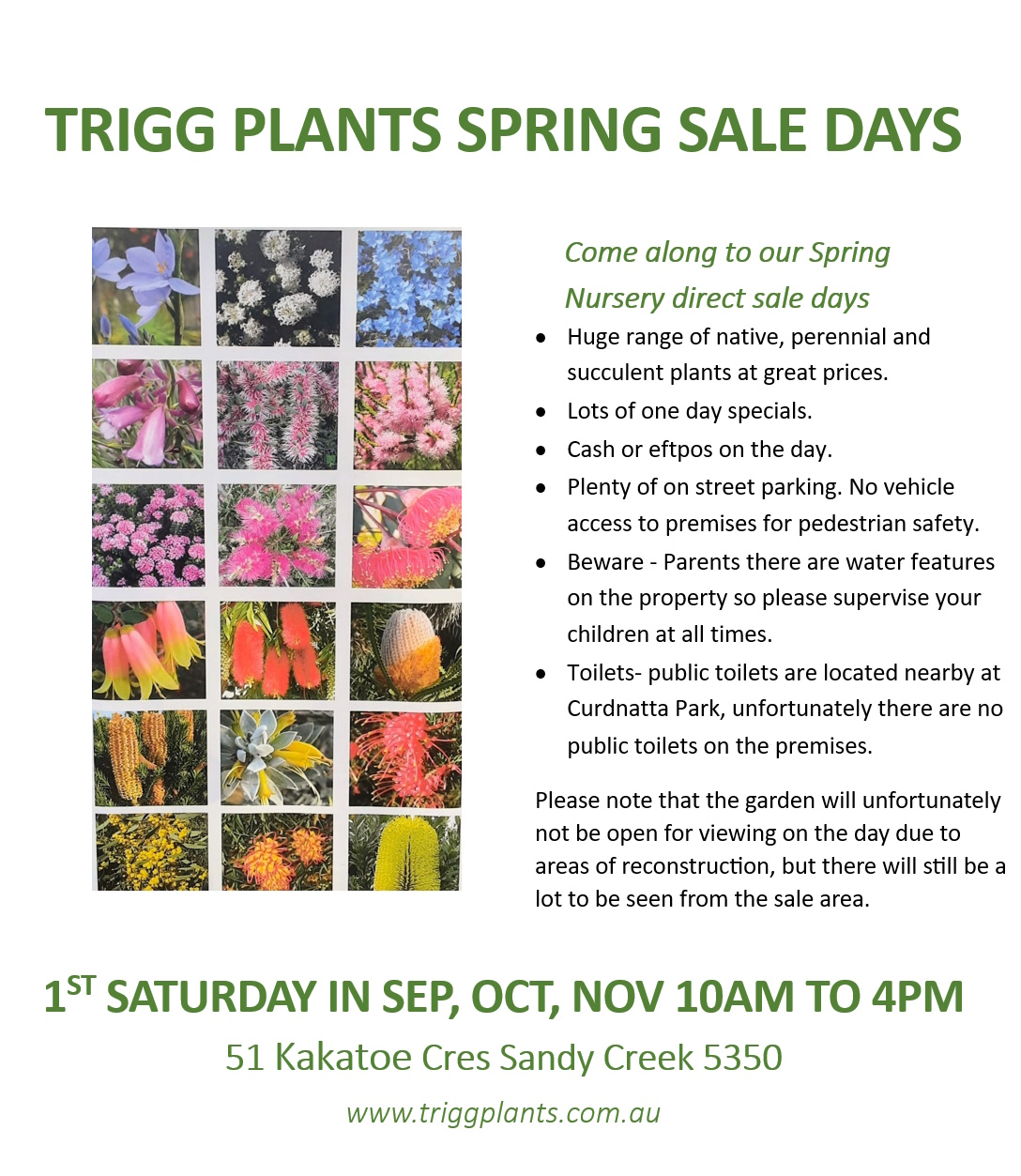 Trigg Plants Nursery Direct Spring Sale Days