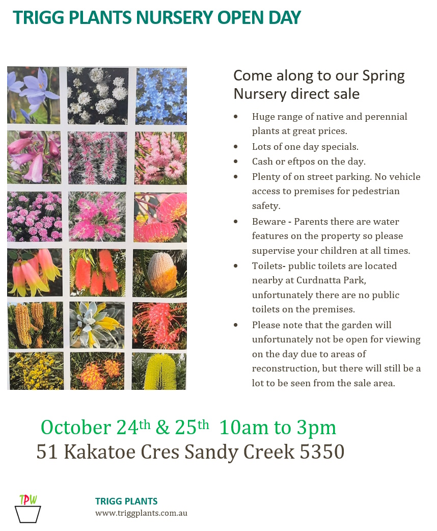Trigg Plants Nursery Direct Spring Sale Days 24th & 25th October 2026.
